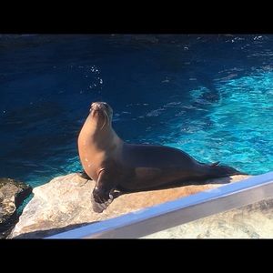 Meet your Posher, Elisa